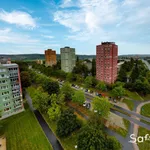 Rent 1 bedroom apartment in Plzeň