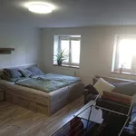 Rent 1 bedroom apartment in Olomouc