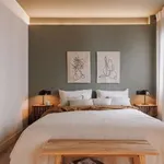 Rent 1 bedroom apartment in barcelona