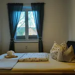 Miete 2 Schlafzimmer wohnung von 43 m² in Dresden