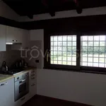 Affitto 5 camera casa di 130 m² in Trevignano Romano