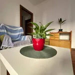 Rent 2 bedroom apartment of 50 m² in Trieste