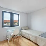 Rent a room in porto