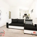 Rent 1 bedroom apartment in Brno