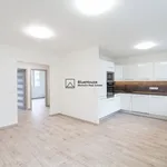 Pronajměte si 3 ložnic/e byt o rozloze 63 m² v Prague