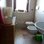 Rent 2 bedroom apartment of 50 m² in San Giovanni Teatino