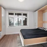  appartement avec 3 chambre(s) en location à 254,