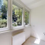 Rent 1 bedroom apartment of 38 m² in Vienna