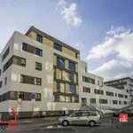 Pronajměte si 3 ložnic/e byt o rozloze 91 m² v Týniště nad Orlicí