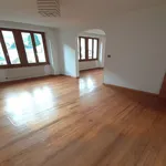  appartement avec 1 chambre(s) en location à Munster