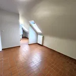 Rent 1 bedroom apartment in Sint-Baafs-Vijve