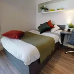 Rent 20 bedroom apartment in London