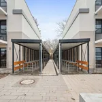 Miete 2 Schlafzimmer wohnung von 31 m² in Berlin