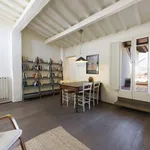 Rent 1 bedroom apartment of 50 m² in Florence