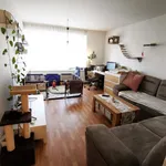 Rent 2 bedroom apartment of 75 m² in Jihlava