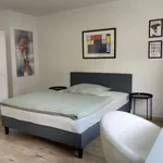 Rent 3 bedroom apartment of 100 m² in frankfurt