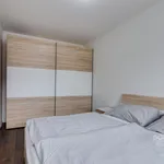 Pronajměte si 2 ložnic/e byt o rozloze 58 m² v Prague