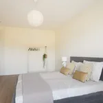 Rent 1 bedroom apartment of 135 m² in Groningen