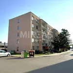 Rent 1 bedroom apartment of 956 m² in Benátky nad Jizerou