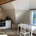 Rent 1 bedroom apartment of 22 m² in Saint Pierre