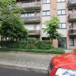 Rent 2 bedroom apartment in Borsbeek