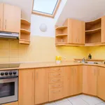 Rent 1 bedroom apartment in Prague