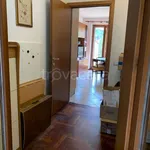 Rent 3 bedroom apartment of 78 m² in Perugia