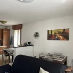 Rent 3 bedroom apartment of 100 m² in Padova