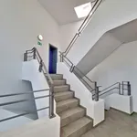 Rent 3 bedroom apartment in Braine-l'Alleud