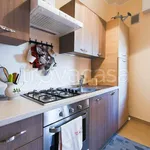 Rent 3 bedroom apartment of 100 m² in Milano