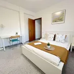 Alquilar 7 dormitorio apartamento en Valencia