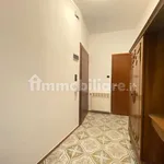 Rent 3 bedroom apartment of 80 m² in Modena