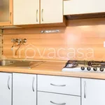 Rent 1 bedroom apartment of 40 m² in Firenze