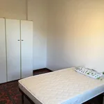 Rent a room in Bologna