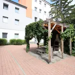 Rent 1 bedroom apartment of 10 m² in Brno