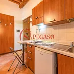 Rent 1 bedroom apartment of 35 m² in Pescia