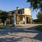 Rent 5 bedroom house of 147 m² in San Giuliano Terme