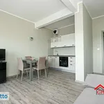 Rent 2 bedroom apartment of 80 m² in Genoa