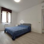 1-bedroom flat via G Cesare 26, Due Ponti, Carpi