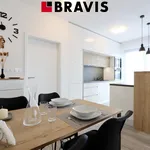 Rent 2 bedroom apartment of 58 m² in Brno