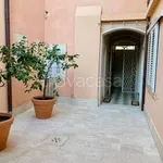 Rent 2 bedroom apartment of 60 m² in Firenze