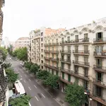 Rent a room of 250 m² in barcelona