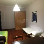 Rent 2 bedroom apartment of 50 m² in Turin