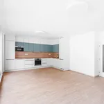 Rent 3 bedroom apartment of 135 m² in Prague