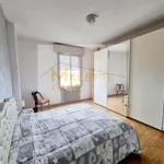 Rent 2 bedroom apartment in Modena