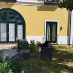 Rent 2 bedroom apartment of 45 m² in Salerno