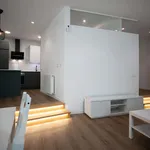 Rent 1 bedroom apartment of 50 m² in Madrid