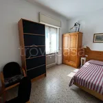 Rent 2 bedroom apartment of 20 m² in Verona