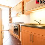 Rent 1 bedroom apartment of 35 m² in Brno