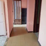 Rent 2 bedroom apartment of 45 m² in Torino